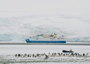 Guide antartiche lasciano il lavoro dei sogni per il clima