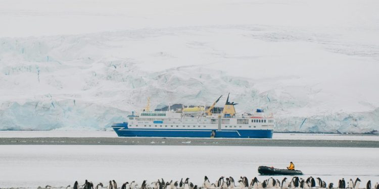 Guide antartiche lasciano il lavoro dei sogni per il clima