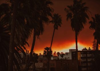 Incendi Los Angeles, impatto psicologico sui più vulnerabili