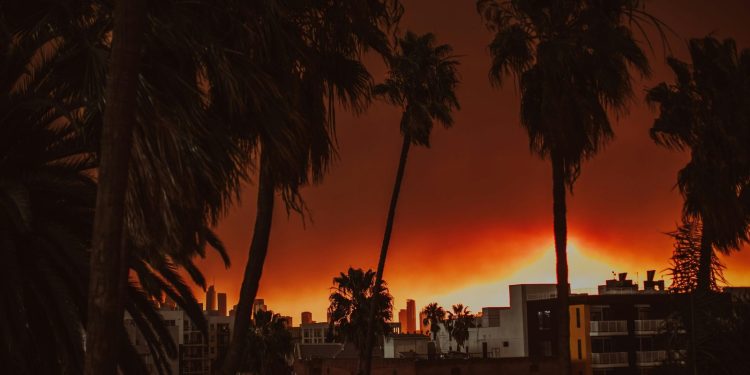 Incendi Los Angeles, impatto psicologico sui più vulnerabili