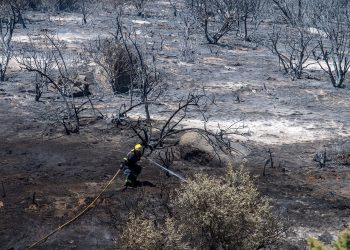 Roghi estremi in Europa, ma il pianeta brucia meno