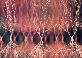 Alzheimer, due nuove molecole per svelare i meccanismi nascosti