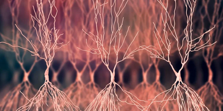 Alzheimer, due nuove molecole per svelare i meccanismi nascosti