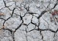 Siccità sui fiumi europei, i costi salgono: l'allarme degli esperti