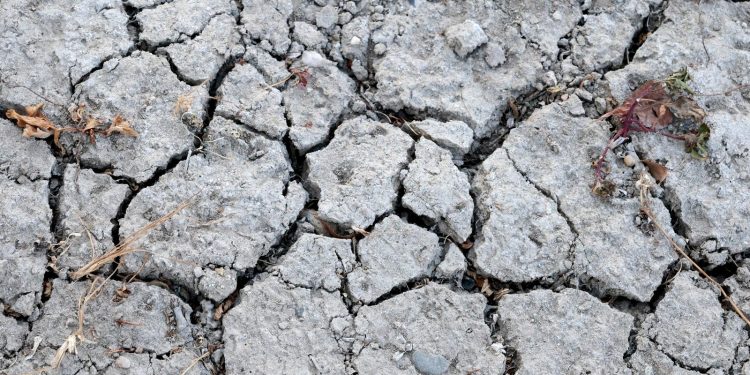 Siccità sui fiumi europei, i costi salgono: l'allarme degli esperti
